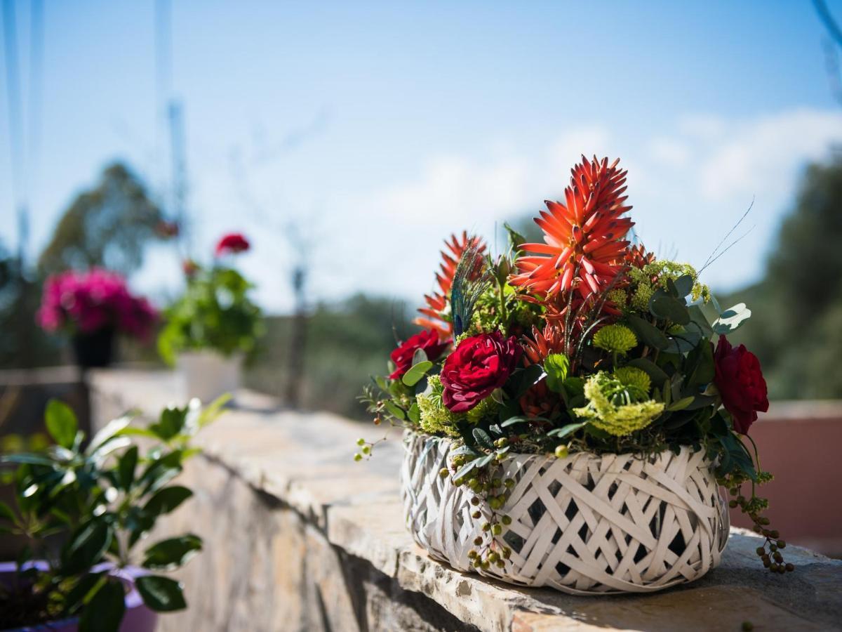 Sofias Cottage Razata Argostoli Eksteriør bilde